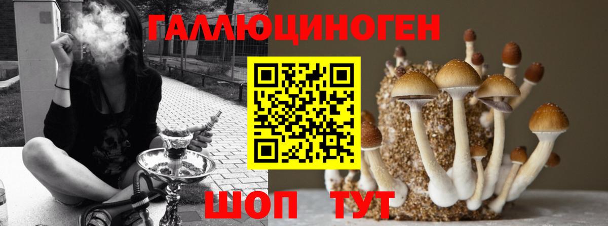 Луховицы  Псилоцибиновые грибы MAGIC MUSHROOMS  Вход с VPN 