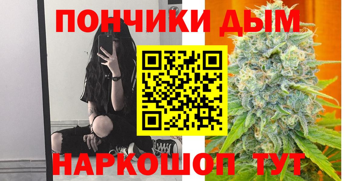 Каннабис план Луховицы